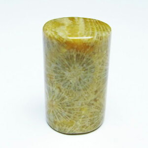 _|Cg10{5OFF^ tHbVR[  X p[Xg[ _ [։ [M 1/10] 112-9382