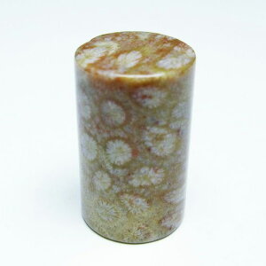 _|Cg10{ő3~OFF^ tHbVR[  X p[Xg[ _ [։ [M 1/10] 112-9384