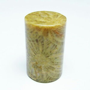 _|Cg10{5OFF^ tHbVR[  X p[Xg[ _ [։ [M 1/10] 112-9385