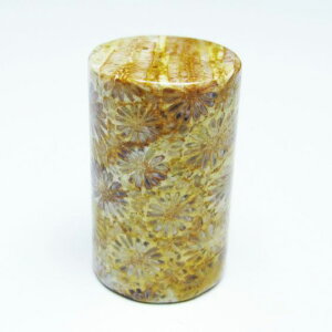 _|Cg10{ő3~OFF^ tHbVR[ ~ ^u X R[ ~   p[Xg[ VR _ [։ [M 1/10] 112-9386