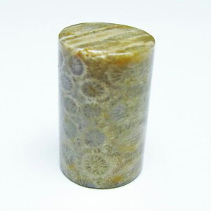 _|Cg10{5OFF^ tHbVR[  X p[Xg[ _ [։ [M 1/10] 112-9388