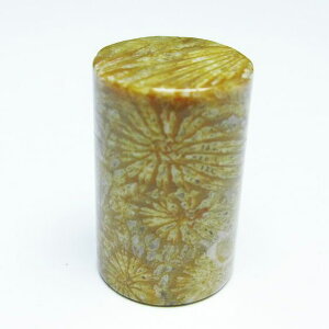 _|Cg10{5OFF^ tHbVR[  X p[Xg[ _ [։ [M 1/10] 112-9393