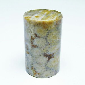 _|Cg10{5OFF^ tHbVR[  X p[Xg[ _ [։ [M 1/10] 112-9396