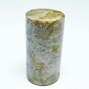 _|Cg10{5OFF^ tHbVR[  X p[Xg[ _ [։ [M 1/10] 112-9402