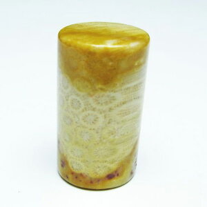 _|Cg10{5OFF^ tHbVR[ ~ ^u X R[ ~   p[Xg[ VR _ [։ [M 1/10] 112-9407