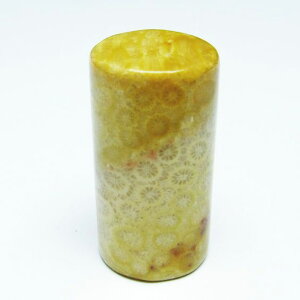 _|Cg10{5OFF^ tHbVR[  X p[Xg[ _ [։ [M 1/10] 112-9410