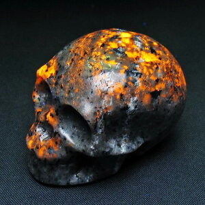 _P5{ő2,000~OFF^ [p[Cg 蒤 u hN XJ u\[_ _ 144-281