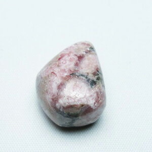 CJ[Y ^u  inca rose  CJKN _ 171-5353