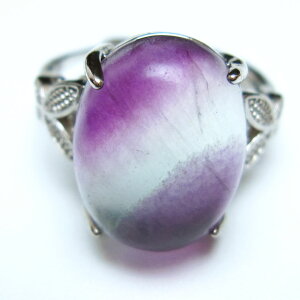 t[Cg O u w t[TCY fluorite ring ق 15 _ [։ [M 1/20] 115-6231
