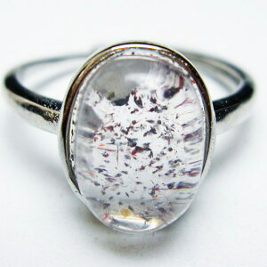 _16܂Ń|Cg2{^ X[p[Zu O ZCNbhZu w t[TCY ring 18 _ [։ [M 1/20] 115-6316