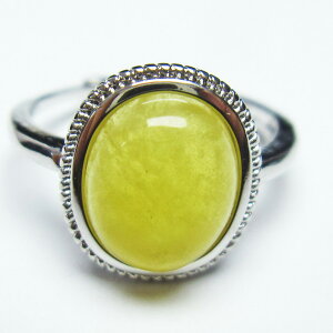 Ao[ O  w CG[Ao[ t[TCY ring 18 _ [։ [M 1/20] 115-5813