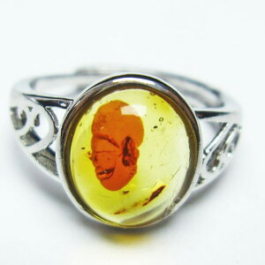 _|Cg10{ő3~OFF^ Ao[ O  w CG[Ao[ t[TCY ring 14 _ [։ [M 1/20] 115-5848