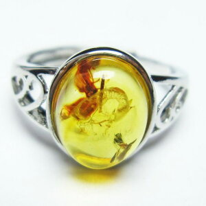 Ao[ O  w CG[Ao[ t[TCY ring 15 _ [։ [M 1/20] 115-5860