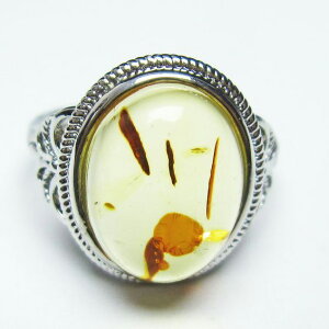 _|Cg10{ő3~OFF^ Ao[ O  w CG[Ao[ t[TCY ring 17 _ [։ [M 1/20] 115-5861