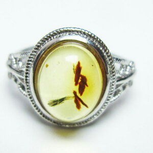 _|Cg10{ő3~OFF^ Ao[ O  w CG[Ao[ t[TCY ring 14 _ [։ [M 1/20] 115-5866