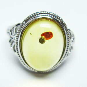 Ao[ O  w CG[Ao[ t[TCY ring 17 _ [։ [M 1/20] 115-5867