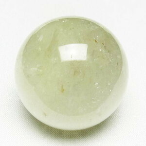 Vg ۋ 43mm t VgNH[c XtBA _ 141-5841