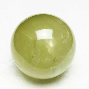 Vg ۋ 46mm t XtBA   u VgNH[c _ 141-6008