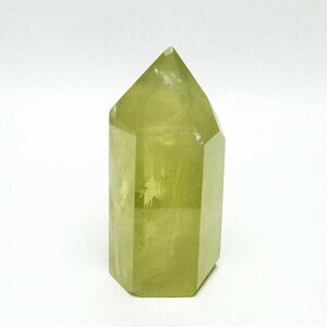 �V�g���� �|�C���g �Z�p�� �V�g�����N�H�[�c ��_�� 142-8206