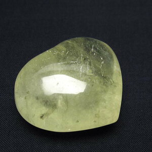 Vg u n[g VgNH[c p[Xg[ _ 145-1096