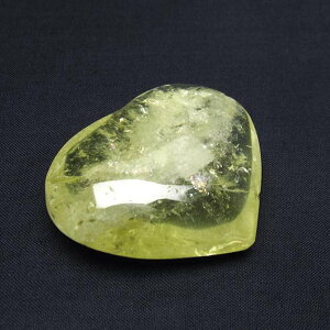 Vg u n[g VgNH[c p[Xg[ _ 145-1129