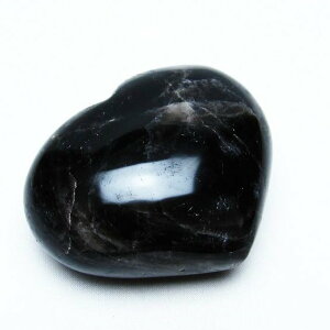 _|Cg10{ő3~OFF^ I n[g  u morion p[Xg[ _ 155-556