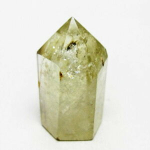 �V�g���� �|�C���g �V�g�����N�H�[�c �Z�p�� ������ ��_�� 142-8858