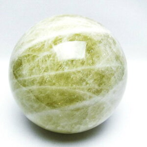 2.3Kg Vg ۋ 120mm t VgNH[c XtBA   _  161-845