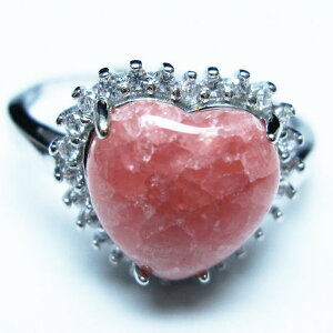 _PT5{ő2,000~OFF^ CJ[Y O n[g w t[TCY inca rose CJKN ring 19 _ [։ [M 1/20] 115-6570