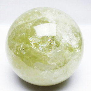 1.8Kg Vg ۋ 110mm t VgNH[c XtBA   _  151-8016