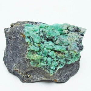 _P5{ő2,000~OFF^ Gh  _  171-5571