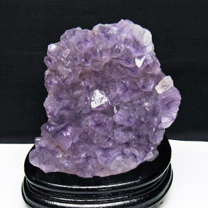 1.8Kg AWXg  AWXg NX^[ EOACY VR  AWXg AVXg { amethyst p[Xg[ VR ametista    t _  182-6997