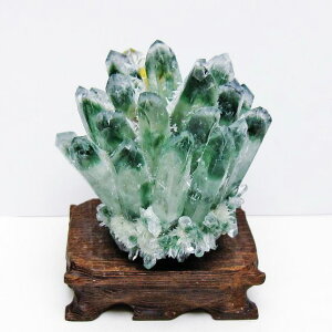 ΐ NX^[  t _  182-7398