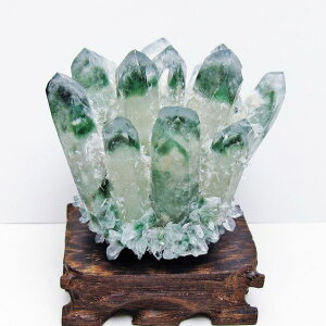 ΐ NX^[  t _  182-7408