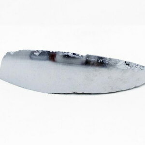 ewc  ewcz u tera hertz p[Xg[ _ 171-5741