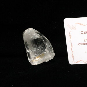 AV[h NX^   uW ~iXWFCXB RgY ؖt A  VR  傤 _ 271-286