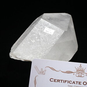  NX^[ uW ~iXWFCXB RgY ؖt AV[h NX^  VR 傤 _  282-221