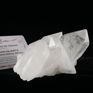  NX^[  Ztq[h uW ~iXWFCXB RgY ؖt VR 򉻗p CeA AV[h NX^ 傤 _  282-388