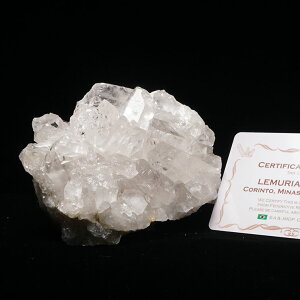  NX^[ uW ~iXWFCXB RgY ؖt AV[h NX^  VR 傤 _  282-533