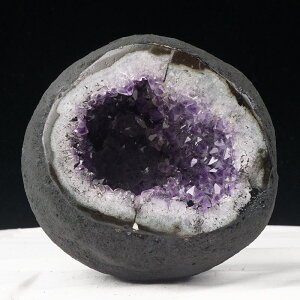 1.8Kg AWXgh[ EOACY T[NWI[h  amethyst AWXgJy[ ~jh[ J^   p[Xg[ VR dome _  174-1986