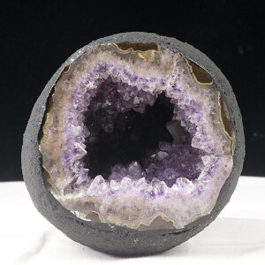_}\ PT5{^ AWXgh[ EOACY T[NWI[h  amethyst AWXgJy[ ~jh[ J^   p[Xg[ VR dome _  174-1988
