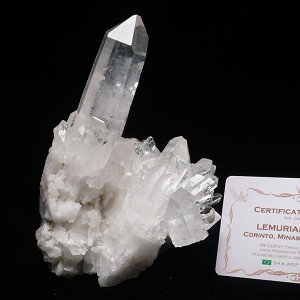  NX^[ uW ~iXWFCXB RgY ؖt AV[h NX^   VR  傤 _  282-614