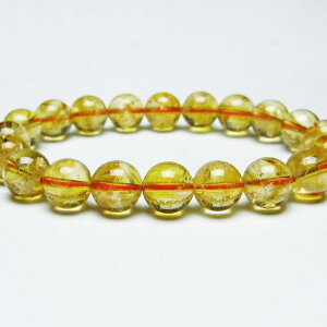 �V�g�����N�H�[�c �u���X���b�g 10mm ������ �V�g���� �u���X ��_�� ���[���։� [M�� 1/10] 111-46218