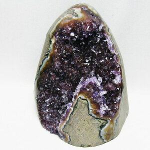 _PT5{ő2,000~OFF^ 1.1Kg AWXg NX^[ EOACY amethyst { AVXg AeBX^ p[Xg[ VR    _ 182-7789