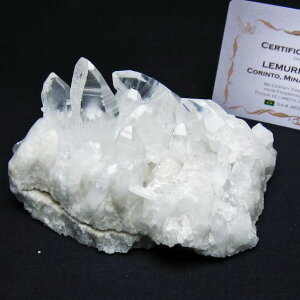 _P5{ő2,000~OFF^  NX^[  uW ~iXWFCXB RgY  J^  AV[h NX^ u 傤 _  182-7879