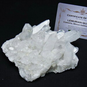  NX^[  uW ~iXWFCXB RgY  J^  AV[h NX^ u 傤 _  182-7886