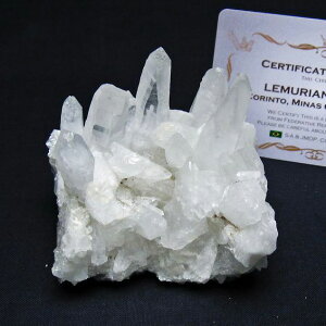  NX^[  uW ~iXWFCXB RgY  J^  AV[h NX^ u 傤 _  182-7893