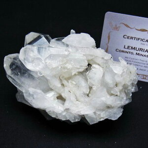  NX^[  uW ~iXWFCXB RgY  J^  AV[h NX^ u 傤 _  182-7902