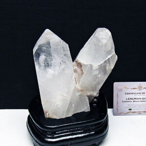  NX^[  t uW ~iXWFCXB RgY  J^  u AV[h NX^ 傤 _  182-8075