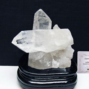  NX^[  t uW ~iXWFCXB RgY  J^  u AV[h NX^ 傤 _  182-8076